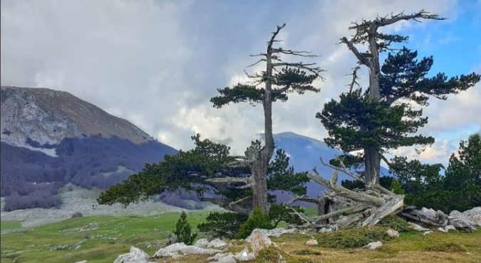 Itinerari Pollino alla scoperta del Parco Nazionale