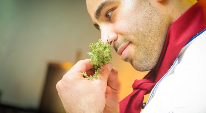 Come diventare chef: studi da fare e pratica