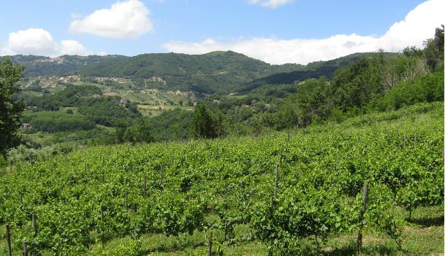 Irpinia