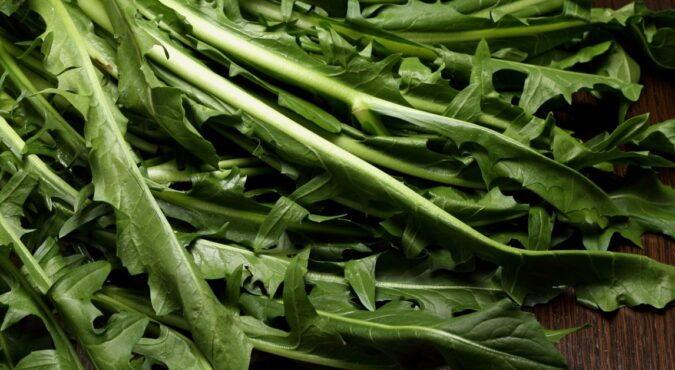 Tutto sulla cicoria, contorno perfetto e nutriente
